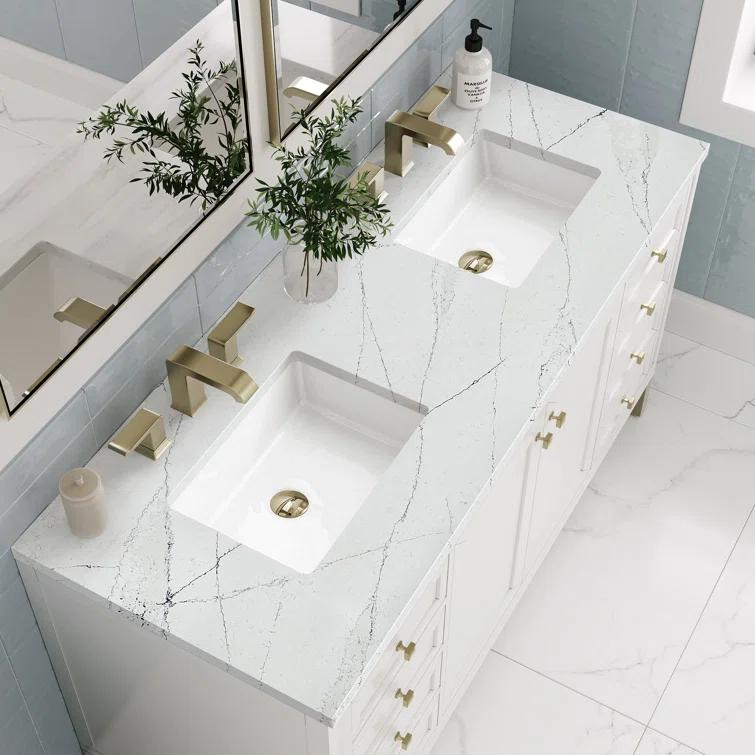 James Martin Vanities Chicago 60'' Double Bathroom Vanity with Top