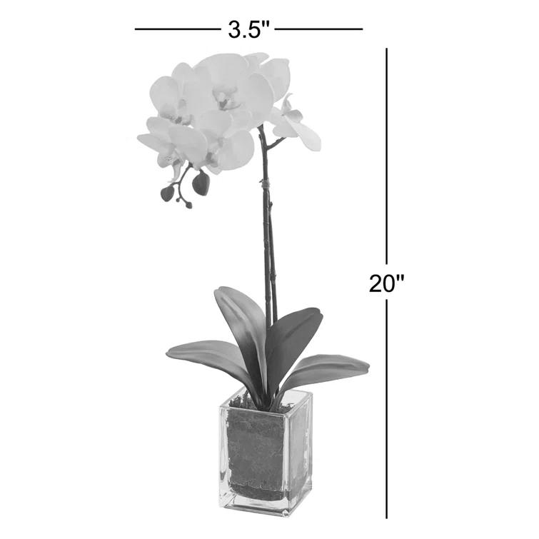 Mercer41 Orchid Arrangement in Vase