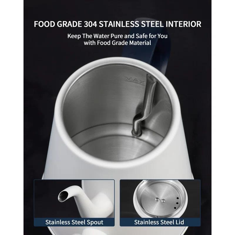 Basowin Gooseneck Electric Kettle(1.0L),1000W Electric Tea Kettle Of 304 Stainless Steel,Auto Shut Off,Coffee Kettle For Pour Over And Tea