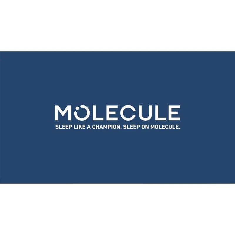 MOLECULE MOLECULE CopperWELL 13" Hybrid Cooling Gel Memory Foam and Encased Coil Medium Firm Mattress