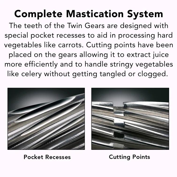 Tribest Greenstar® Slow Masticating & Cold Press Juicer & Reviews | Wayfair
