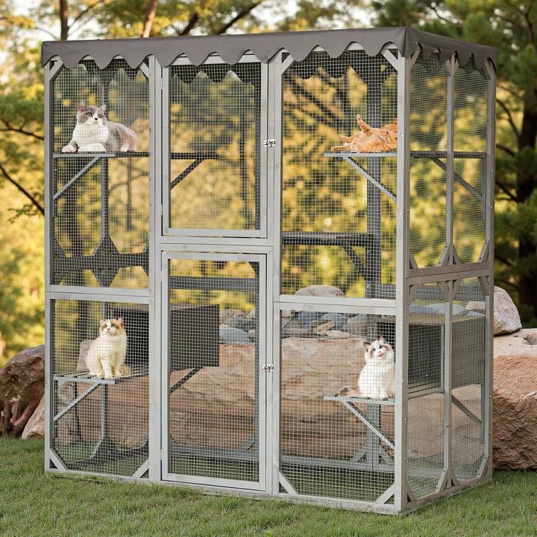 Gracie Oaks Outdoor Cat Enclosure with Roof 72" Height Cat Wooden House Large Cat Catio