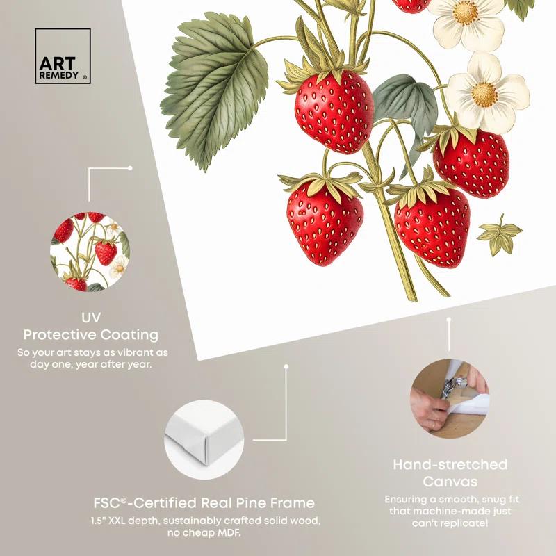 Art Remedy Leafed Berry Canvas Vintage Prints by Art Remedy