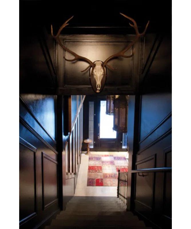 Orac Decor 1.1875'' H x 78'' W x 0.38'' D Plastic Chair Rail