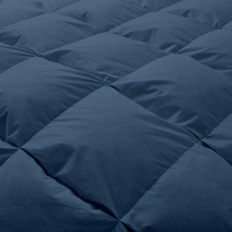 Alwyn Home 600 Fill Power All Seasons Down Comforter