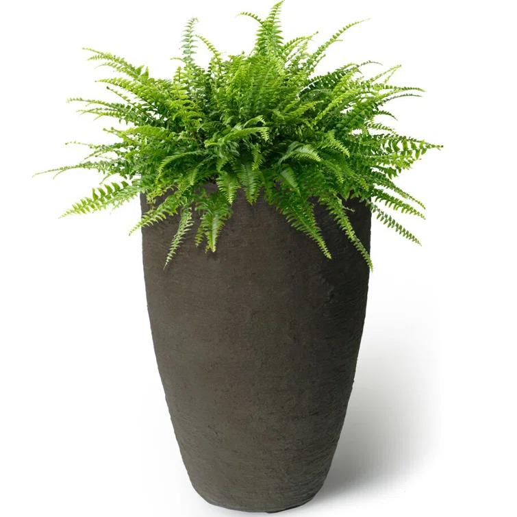 Algreen Products 87311 Athena 20.5 Inch Self Watering Level Indicator Indoor Outdoor Plastic Planter with Overflow Drain, Brownstone