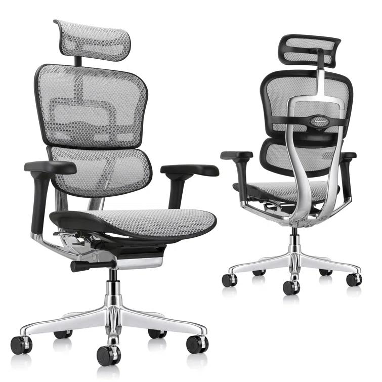 Eurotech Seating Ergohuman Executive Chair with Headrest