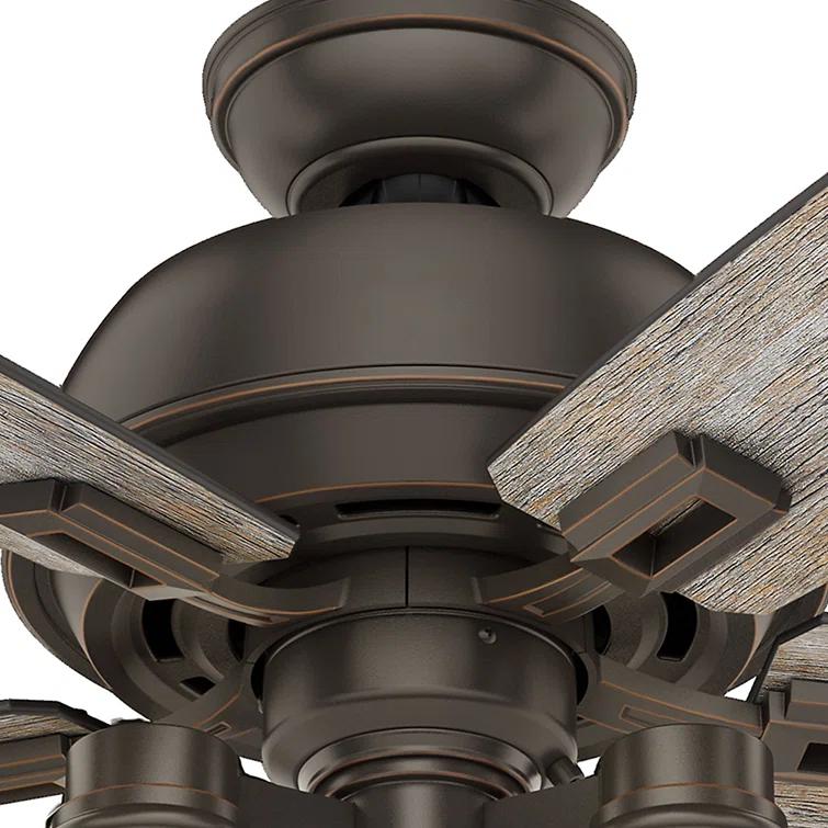 Hunter Fan 52" Donegan 5 - Blade Standard Ceiling Fan with Pull Chain and Light Kit Included