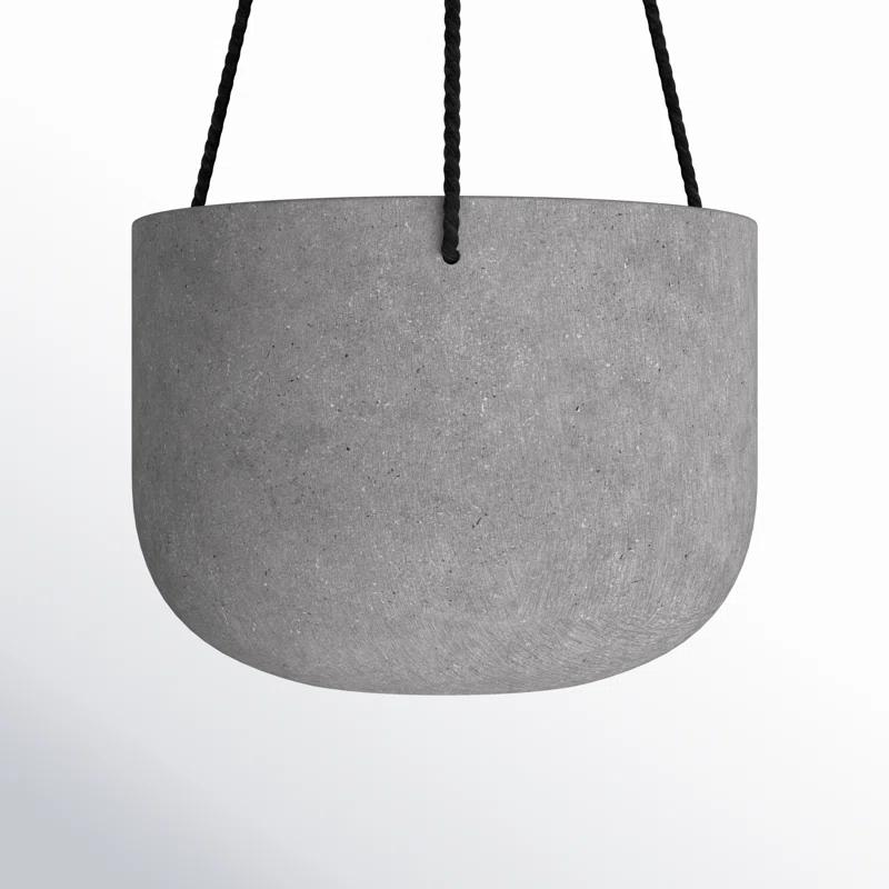 AllModern McGrath Hanging Planter