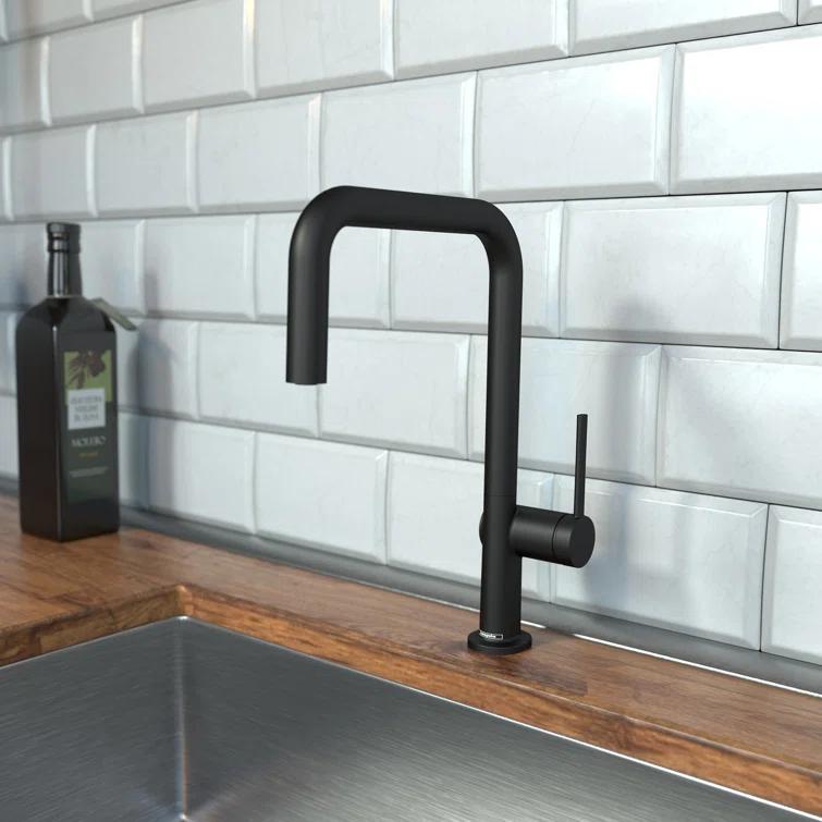 hansgrohe Talis N Kitchen Faucet, U-Style 1-Spray, 1.75 GPM
