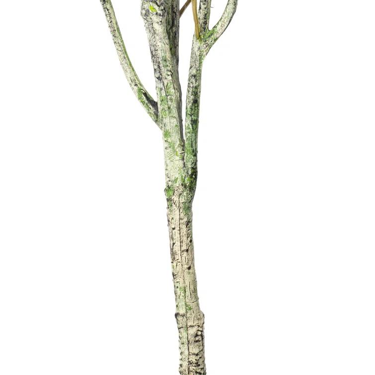 Vickerman Artificial Green Olive Tree in Black Planters Pot.