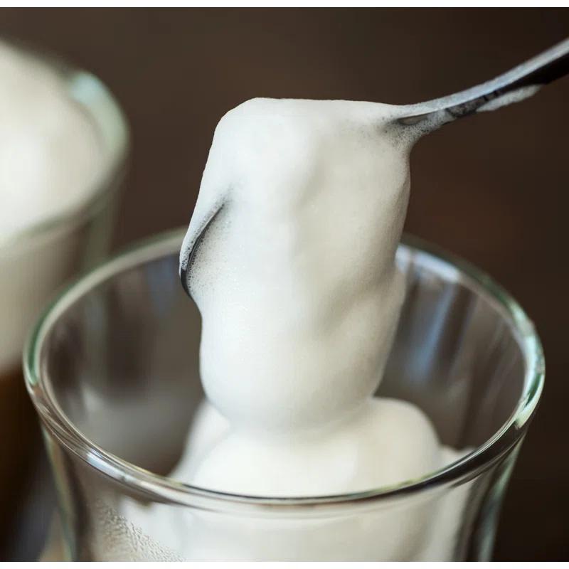 Solac Solac Pro Stainless Steel Automatic Milk Frother