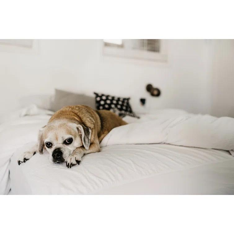 The Twillery Co.® Ralon Terry Cloth Waterproof Fitted Mattress Protector