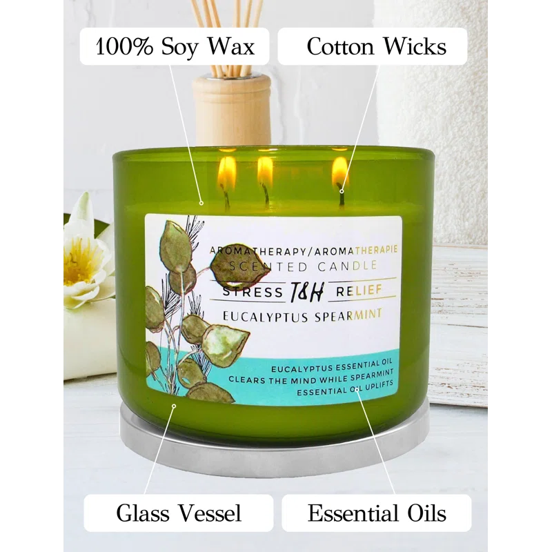 T&H Wholesalers Eucalyptus Spearmint Scented Soy Candle 3 Wick Aromatherapy Candle for Women and Men