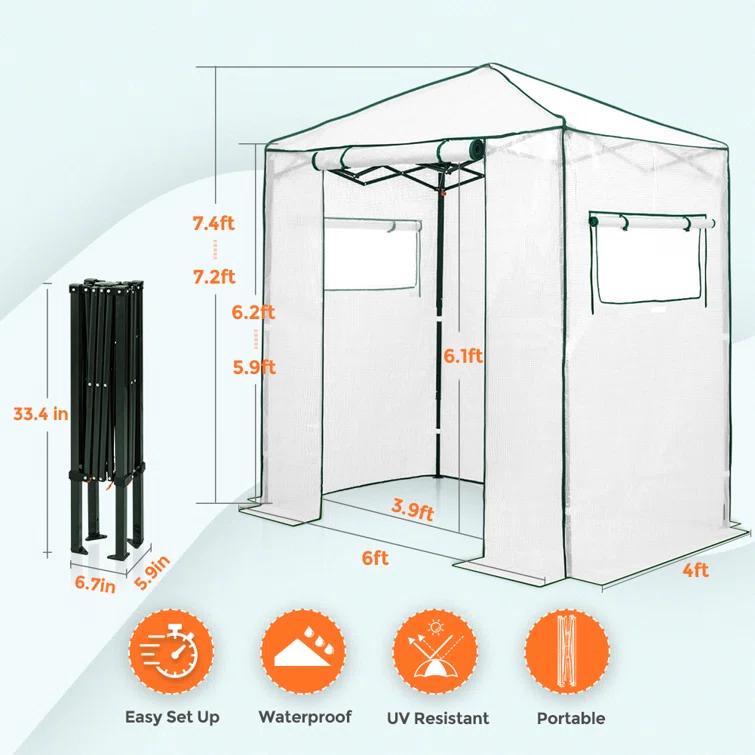 EAGLE PEAK Pop Up Greenhouses 6 ft x 4 ft Greenhouse