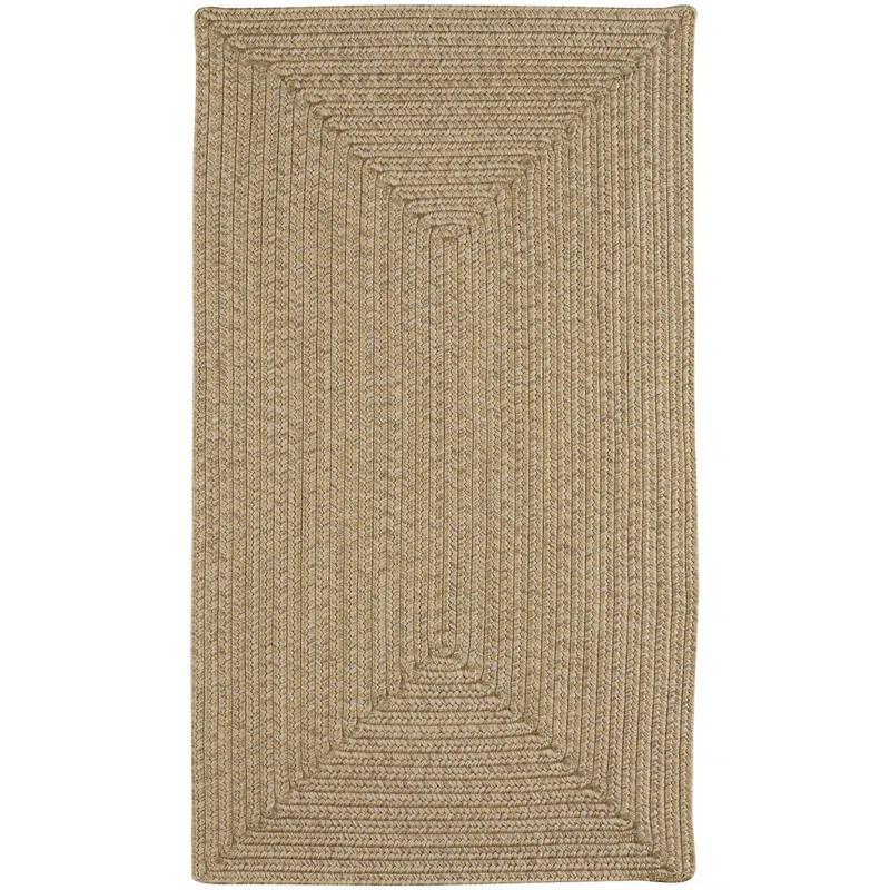 Highland Dunes Coronado Braided Tan Area Rug