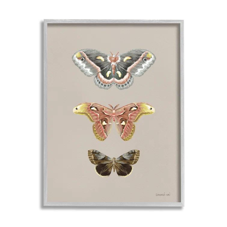 Stupell Industries " Vintage Moth Specimens " by Danhui Nai