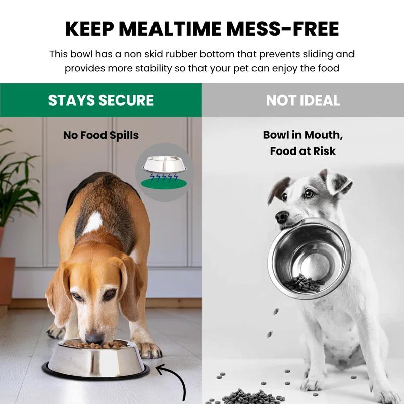 Iconic Pet Anti-Skid Pet Bowl
