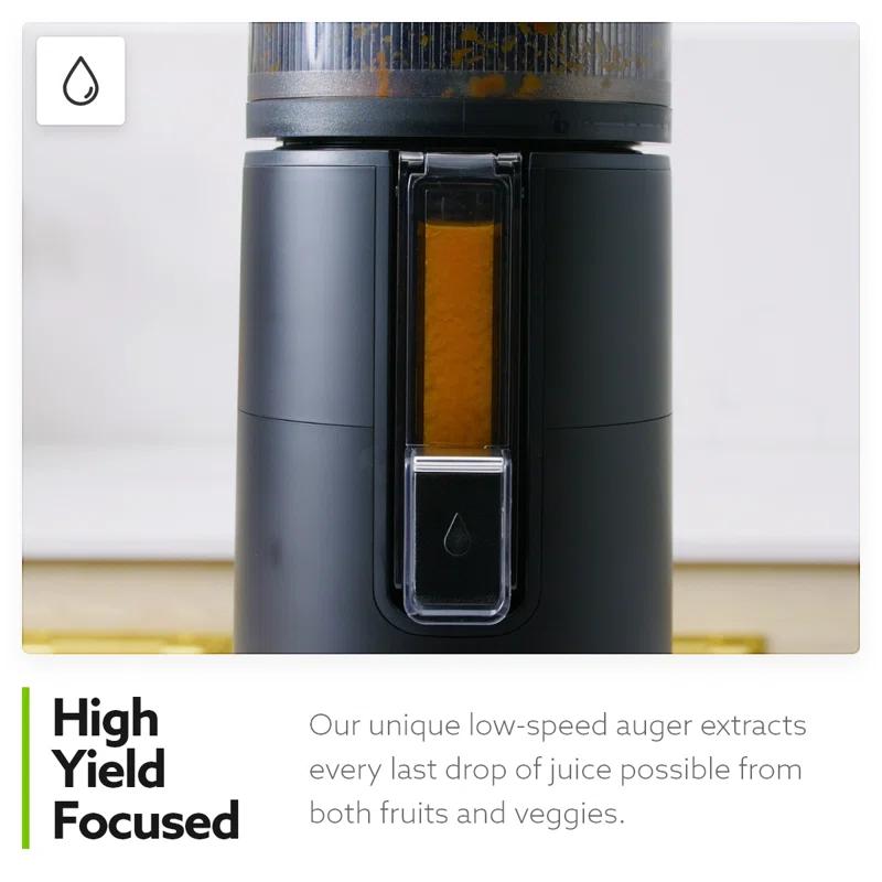 Hurom Hurom H400 Two Tone Easy Clean Slow Juicer