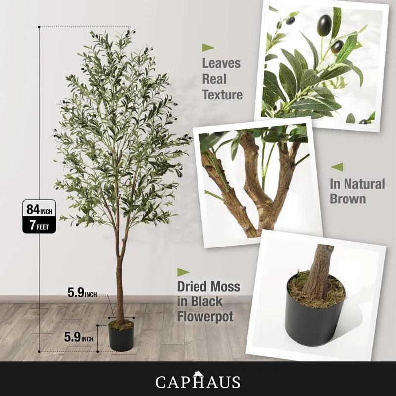 CAPHAUS CAPHAUS Artificial Olive Tree with Fruit, Fake Potted Topiary Tree with Dried Moss, 5 / 6 / 7 Feet