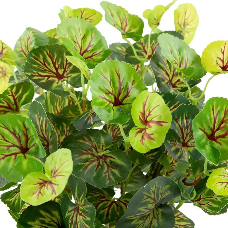 Northlight Seasonal 15" Two Toned Green Begonia Artificial Floral Bush