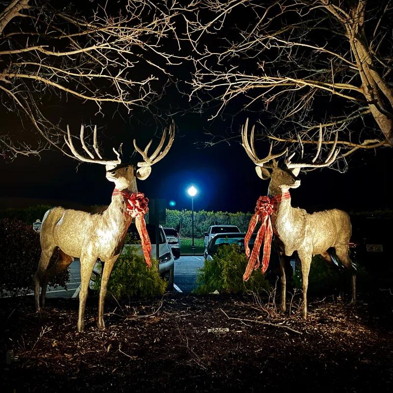 Metropolitan Galleries Bronze Buck and Doe 2 Piece Sculpture Set