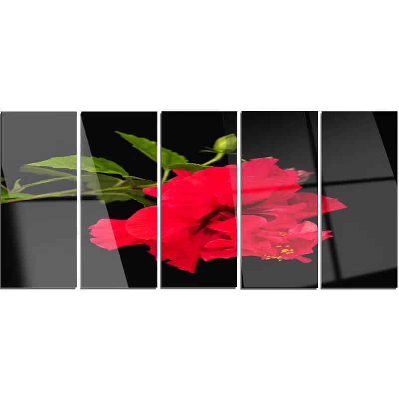 Design Art " Bright Red Hibiscus On Black " 5 - Pieces