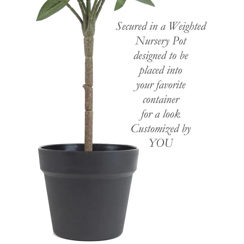 Primrue Faux Olive Tree Tree in Pot Liner