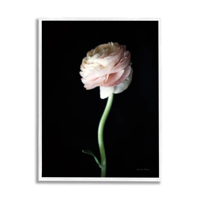 Stupell Industries " Ranunculus Flower " by Debra Van Swearingen