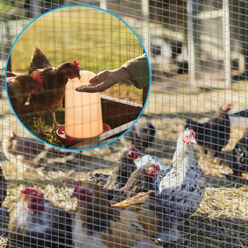 48x50 Hardware Cloth 1/4 inch Square Galvanized Chicken Wire Welded Fence Mesh Roll Raised Garden Bed Plant Supports