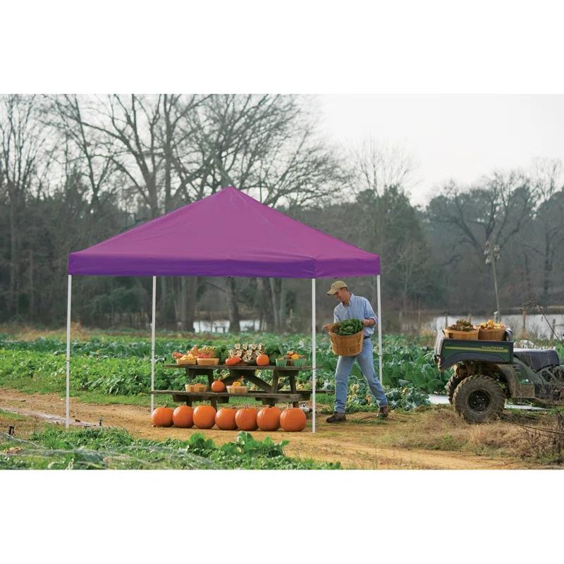 ShelterLogic 12 Ft. W x 12 Ft. D Metal Pop-Up Canopy