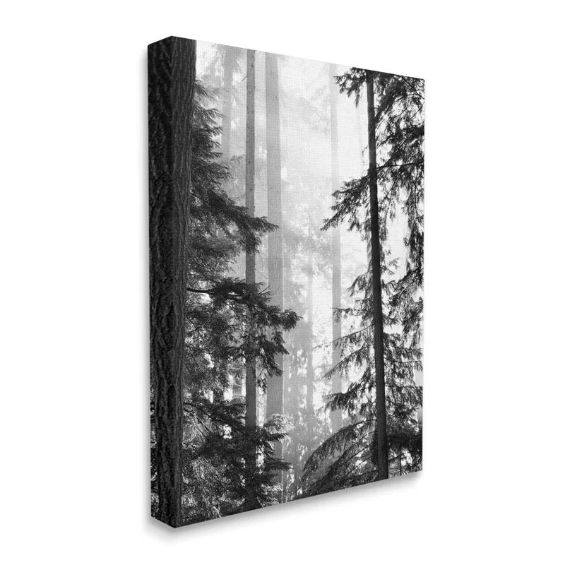 Stupell Industries Forest Light Shining Through Tall Trees Landscape by Gail Peck - Photograph & Reviews | Wayfair