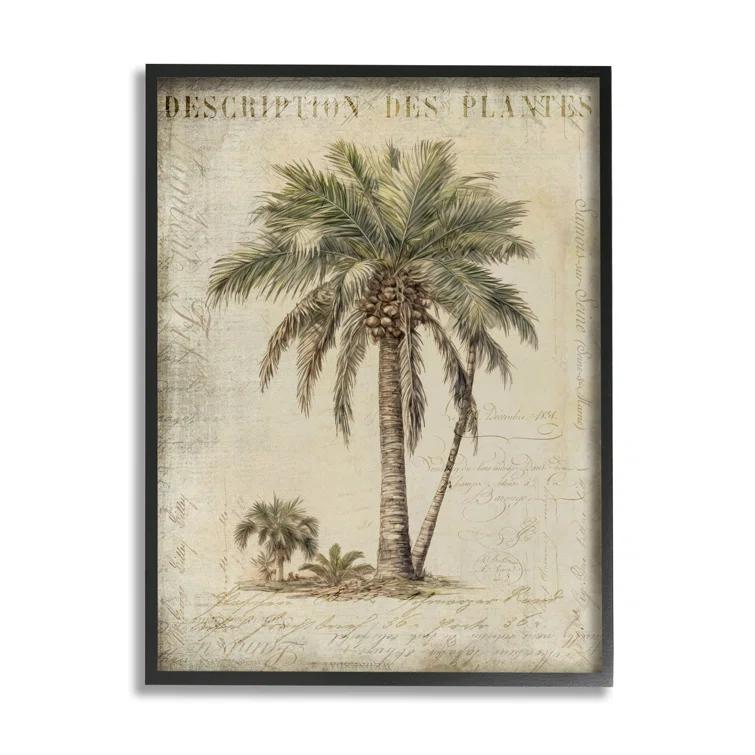Stupell Industries Ba-008-Framed " Vintage Palm Tree Study " by Andrea Haase