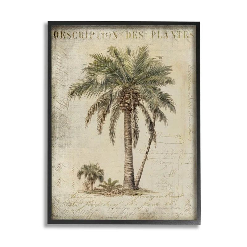 Stupell Industries Ba-008-Framed " Vintage Palm Tree Study " by Andrea Haase