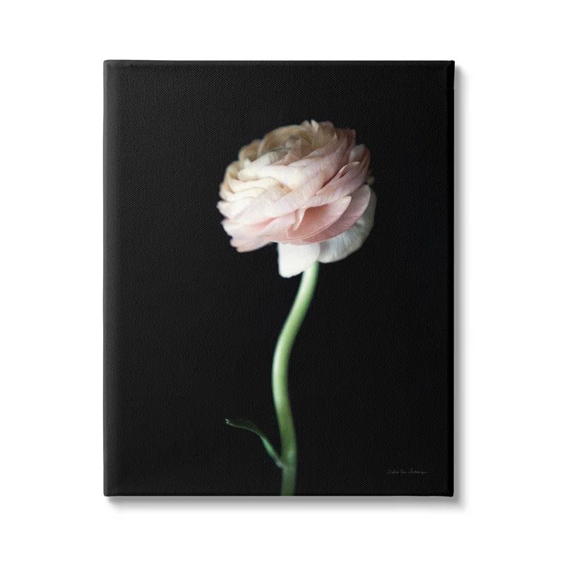 Stupell Industries " Ranunculus Flower " by Debra Van Swearingen