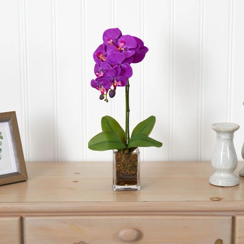 Mercer41 Orchid Arrangement in Vase