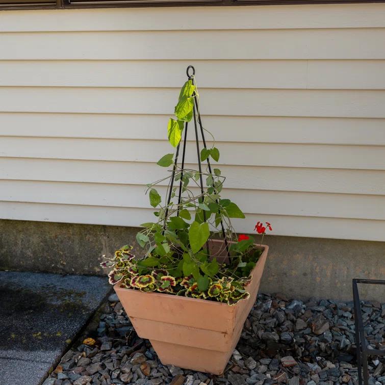 Freeport Park® 34'' H x 6'' W Metal Expanding Trellis