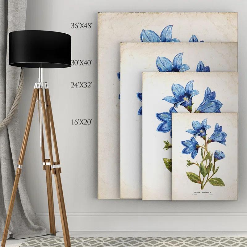 Wexford Home Farmhouse / Country