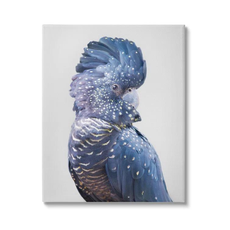 Stupell Industries " Gray Cockatoo Portrait " by Sisi And Seb
