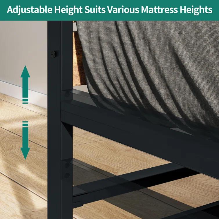 17 Stories Rithvik Daybed with Trundle