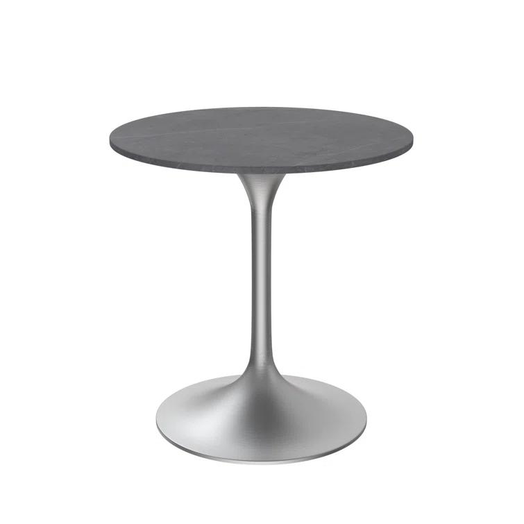 George Oliver Heatherton 27" Round Dining Table with Sintered Stone Top and Brushed Silver Stainless Steel Pedestal Base Kitchen Table Seats 2-4 Person