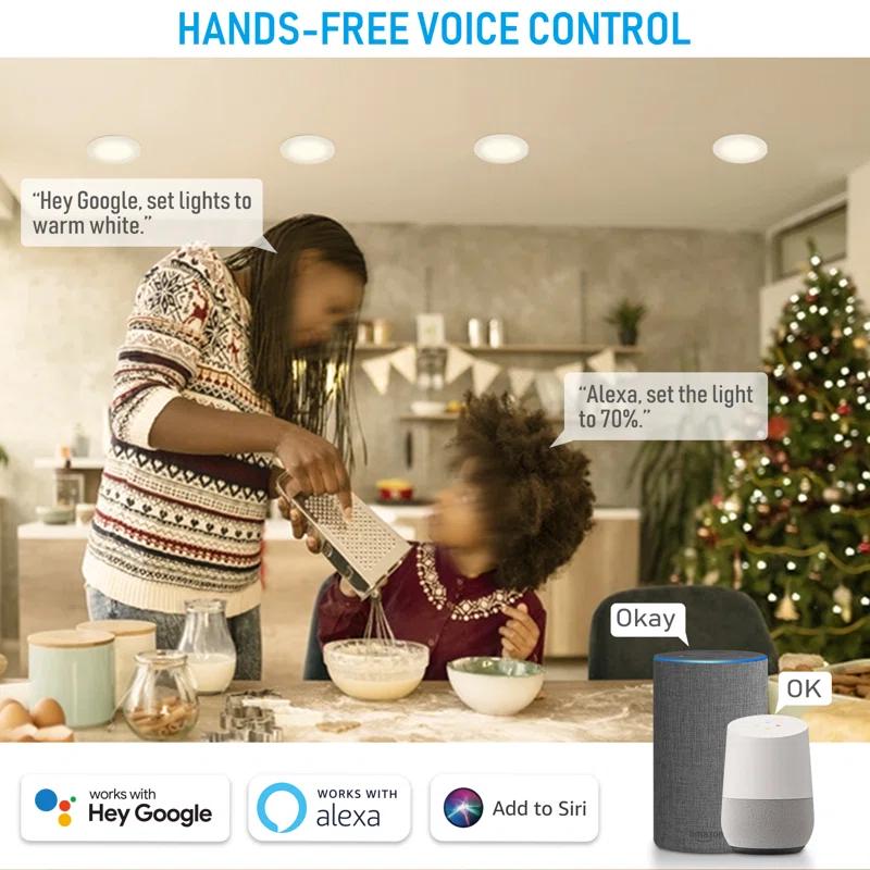 LEDVANS 4 Inch Smart Recessed Light, Color Changing Rgbcw, Voice Control (Set of 4) F-80425