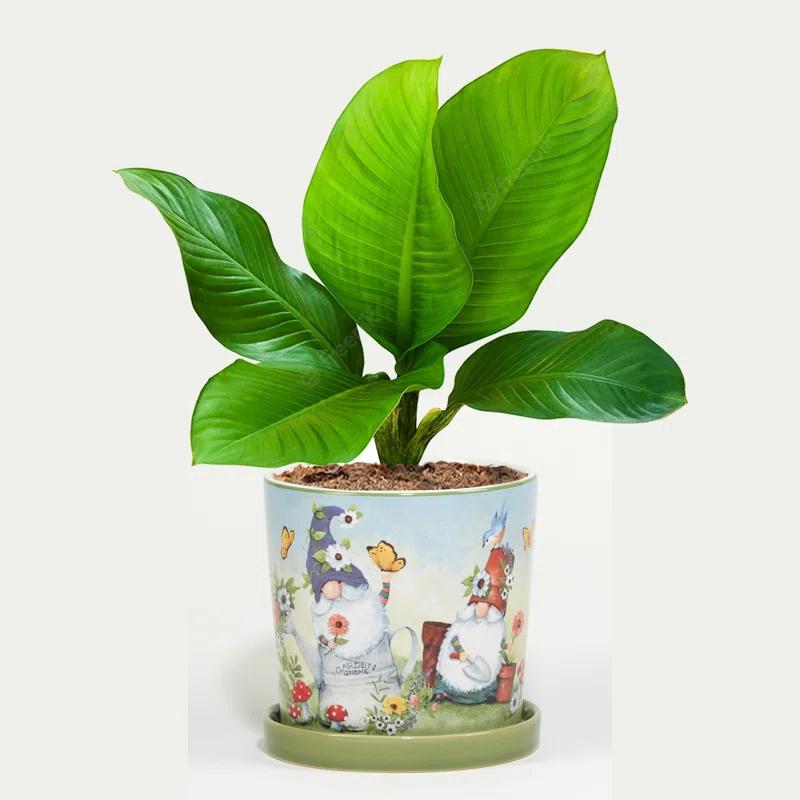 Certified International Garden Gnomes 2Pc Planter Set With Saucer