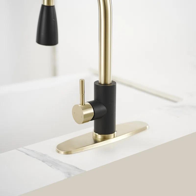 VIBRANTBATH Pull Out Kitchen Faucet