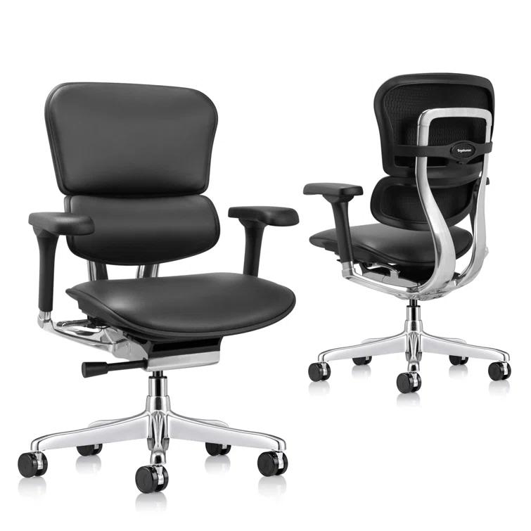 Eurotech Seating Ergohuman Leather Task Chair