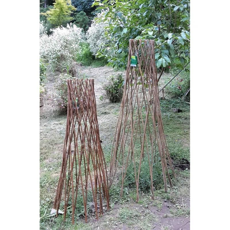 MGP 72'' H x 20'' W Wood Obelisk Trellis
