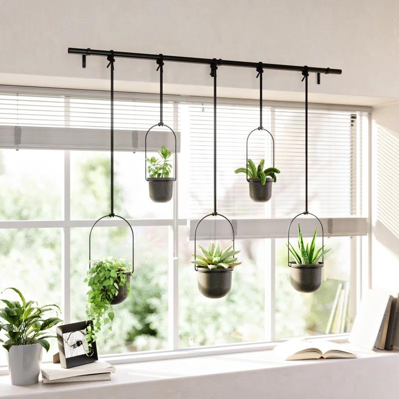 Triflora Large Hanging Planter