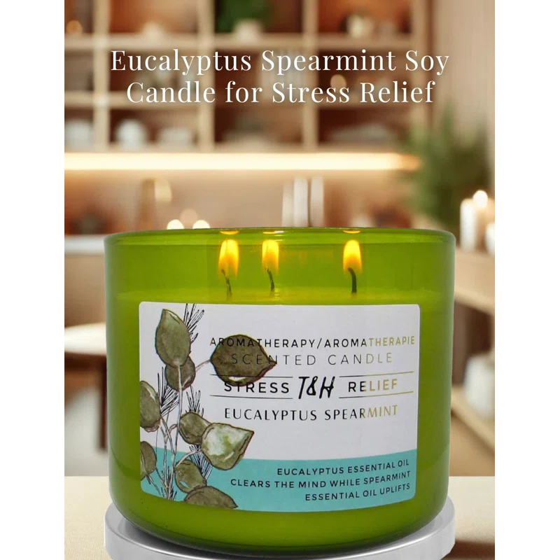 T&H Wholesalers Eucalyptus Spearmint Scented Soy Candle 3 Wick Aromatherapy Candle for Women and Men