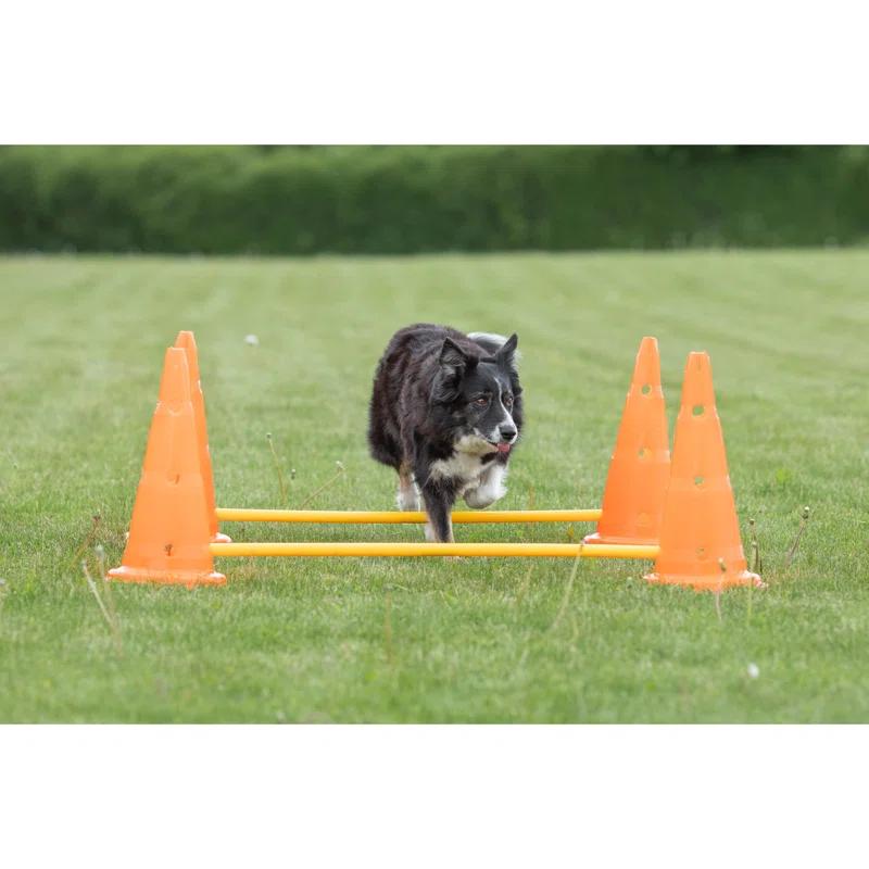 TRIXIE TRIXIE Dog Agility Hurdle Cone Set, Portable Canine Agility Training Set