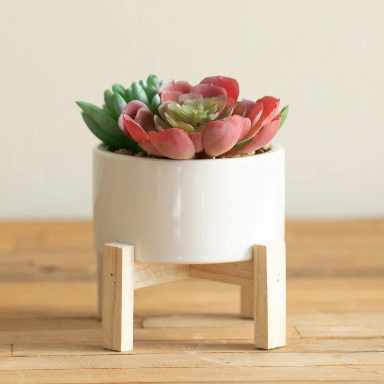 Primrue 5.5'' Faux Succulent Plant in Ceramic Pot